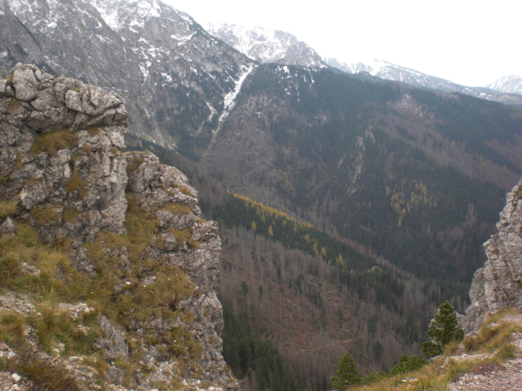 181105 7 Flucht aus der Stadt